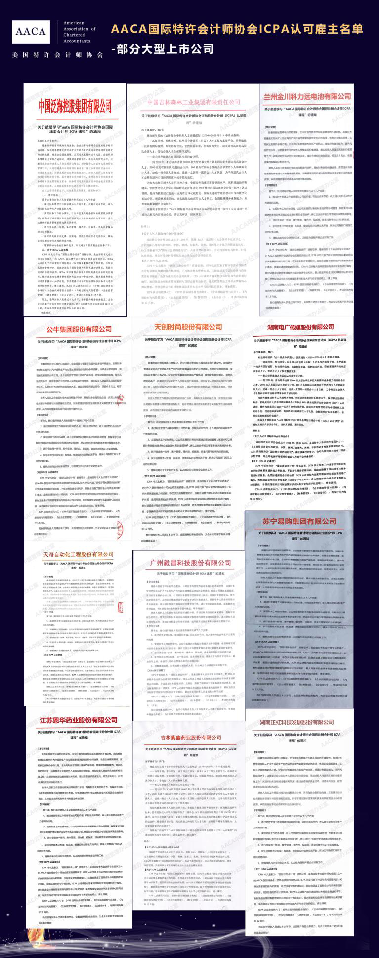 在“全球化”的戰(zhàn)略中，還在擔(dān)心國際注冊會計師就業(yè)前景？